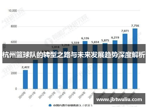 杭州篮球队的转型之路与未来发展趋势深度解析